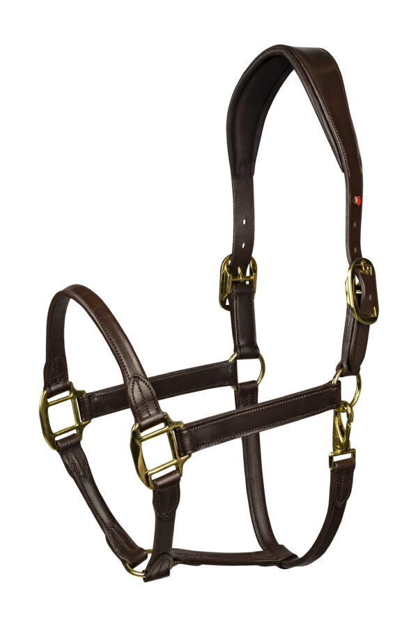 Kantar skórzany Equinox brąz