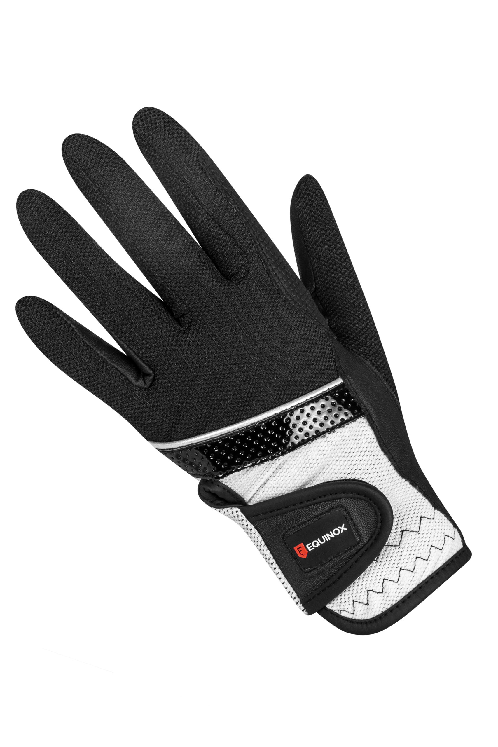 Sesja equinox styczen-024