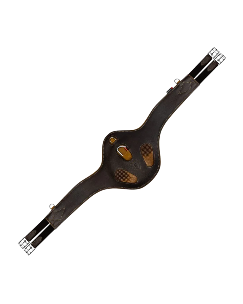 Popręg Skokowy Czekoladowy Brąz