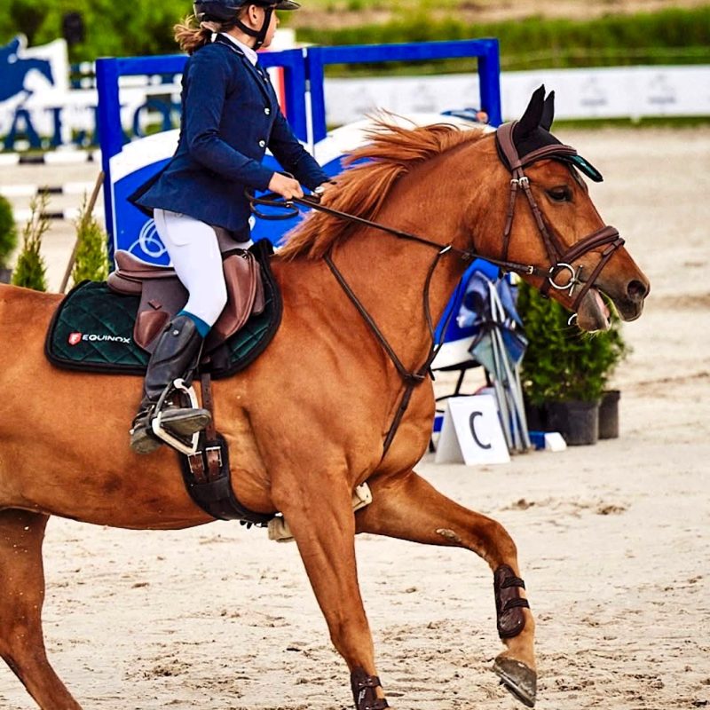 WhatsApp Image 2026-03-12 at 17.49.31 (10)