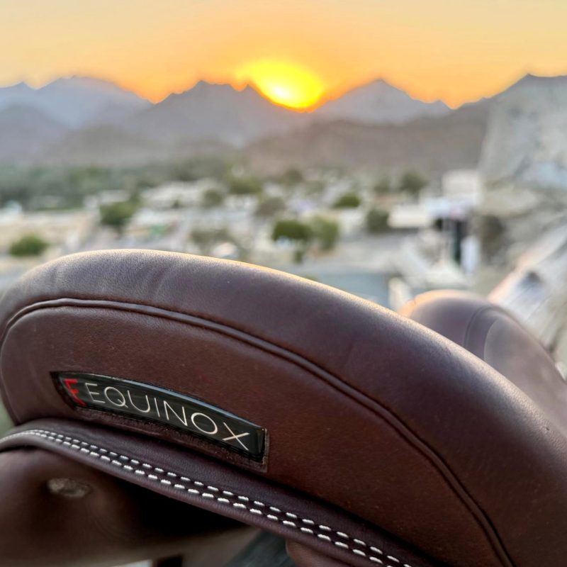 WhatsApp Image 2026-03-12 at 17.49.31